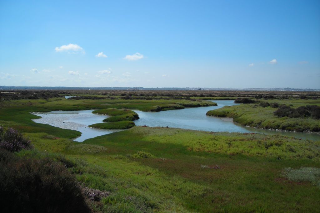 The surroundings – El Olivar de Roche Viejo